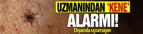 Uzmanından 'kene' alarmı! Dışarıda uyumayın