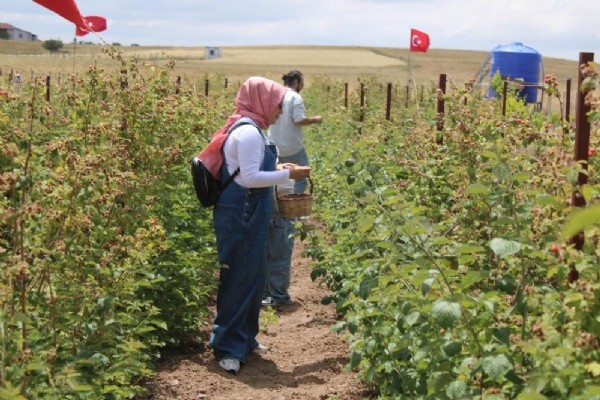 5 yıl önce hobi olarak başladı! Şimdi taleplere yetişemiyor