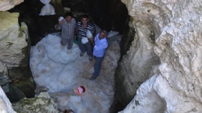 Zirvede organik buz dolabı! Gıdalar aylarca bozulmadan kalıyor