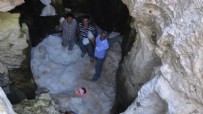 Zirvede organik buz dolabı! Gıdalar aylarca bozulmadan kalıyor