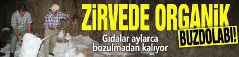 Zirvede organik buz dolabı! Gıdalar aylarca bozulmadan kalıyor