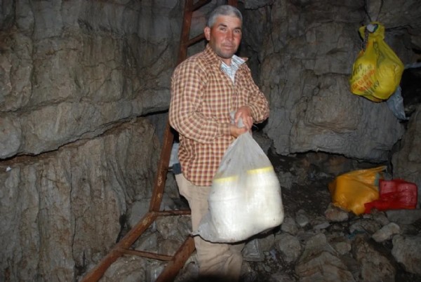 Zirvede organik buz dolabı! Gıdalar aylarca bozulmadan kalıyor