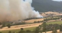 Bursa’da orman yangını! Ekipler bölgeye ulaştı Haberi