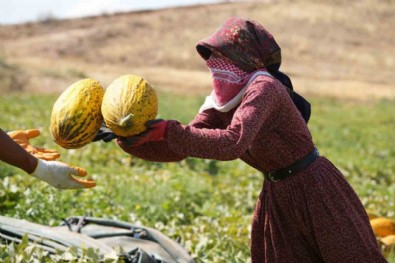 O bölgede başladı: Kapış kapış gidiyor