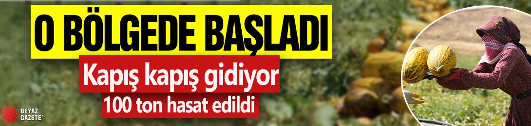 O bölgede başladı: Kapış kapış gidiyor
