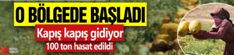 O bölgede başladı: Kapış kapış gidiyor