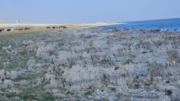Bölgedeki susuzluk endişesi büyüyor! Sular çekilmeye başladı