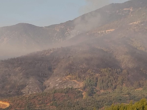 Hatay’da feci yangın! Müdahaleler sürüyor