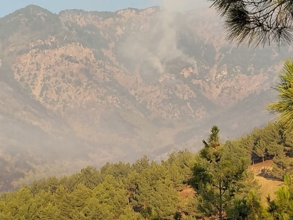 Hatay’da feci yangın! Müdahaleler sürüyor