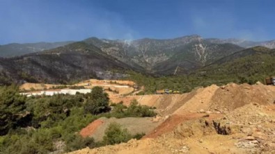 Orman yangınlarıyla mücadele sürüyor