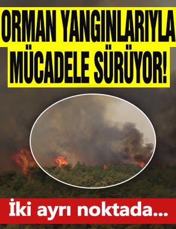 Orman yangınlarıyla mücadele sürüyor