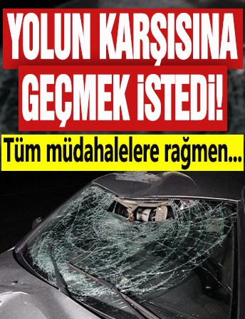 Yolun karşısına geçmek istedi: Tüm müdahalelere rağmen...