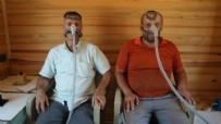 Arıların gücüyle şifa! Yeni tedavi yöntemi Türkiye'de başladı Haberi