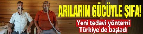 Arıların gücüyle şifa! Yeni tedavi yöntemi Türkiye'de başladı