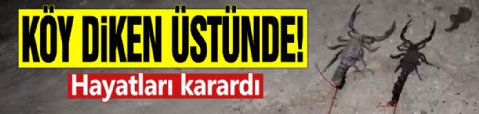 Bir köy diken üstünde! Hayatları karardı