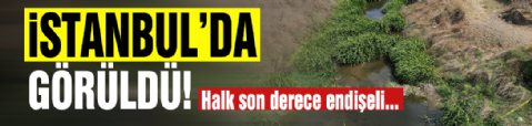 İstanbul'da dere yatağındaki kirlilik tepki çekti