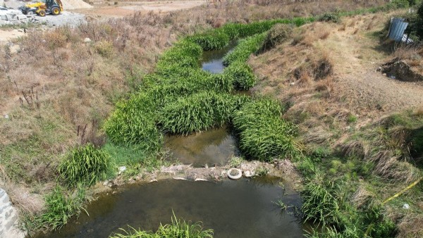İstanbul'da dere yatağındaki kirlilik tepki çekti