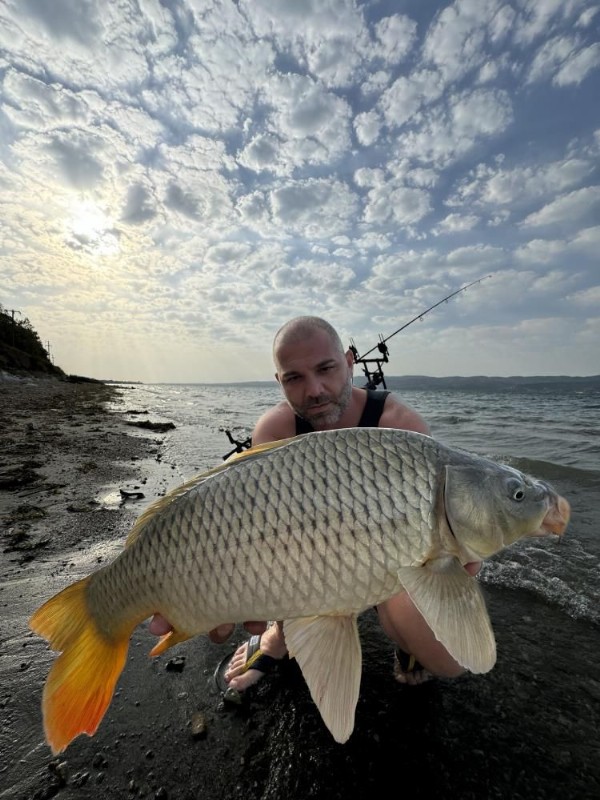 Sapanca Gölü’nde yakaladı! Öpüp suya geri bıraktı