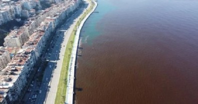 İzmir'in kokusunu sorgulayan kadına yorum yağdı: Biz böyle seviyoruz