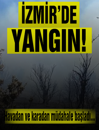İzmir’de Orman Alarmı! Alevler Giderek Yayılıyor!