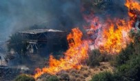  YANGIN - İzmir’de Orman Alarmı! Alevler Giderek Yayılıyor!