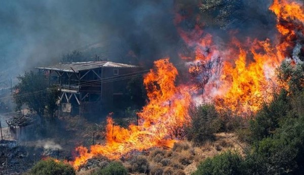 İzmir’de Orman Alarmı! Alevler Giderek Yayılıyor!