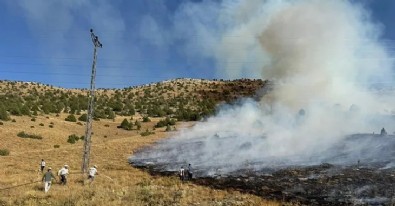 Adana'daki yangın kontrol altına alındı