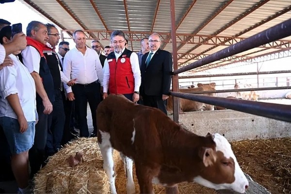 Bakanlık düğmeye bastı! Et ithalatını önleyecek proje