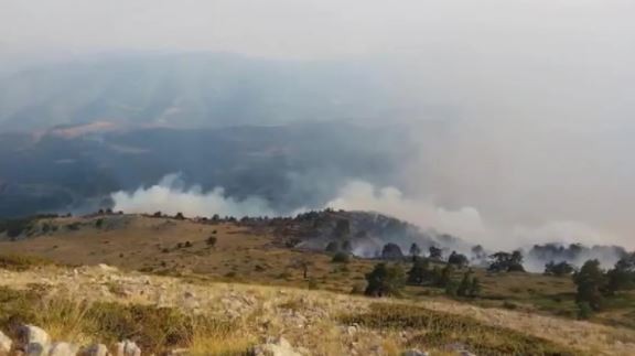 Amasya'da orman yangını! Ekipler görev başında...