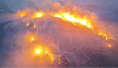 Orman yangını sürüyor! O ilde yoğun çalışma...