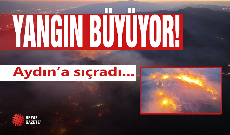 Orman yangını sürüyor! O ilde yoğun çalışma...