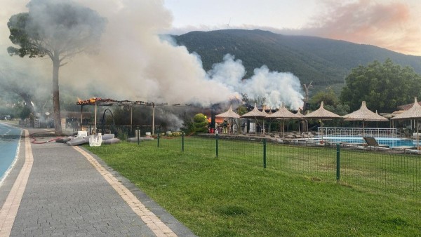 Balıkesir'de korkutan yangın! Çıkış nedeni...