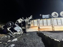 Önce devrildi sonra alev aldı! Yanarak can verdi