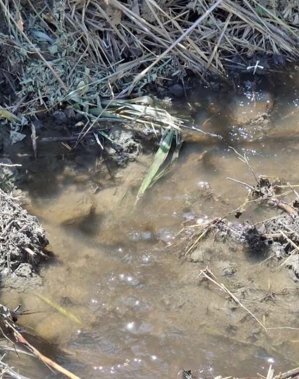 CHP'li belediyeler vatandaşı susuzluğa mahkum etti! Tekirdağ ve İzmir'in su çilesi