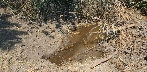 CHP'li belediyeler vatandaşı susuzluğa mahkum etti! Tekirdağ ve İzmir'in su çilesi