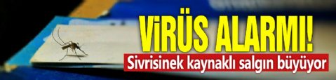 Virüs alarmı! Sivrisinek kaynaklı salgın büyüyor