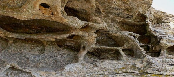 Aydın'da 8 bin yıllık keşif! Resimli kaya 'sit alanı' ilan edildi