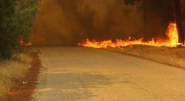 Çanakkale felaketi yaşıyor! Yüzlerce kişi tahliye edildi