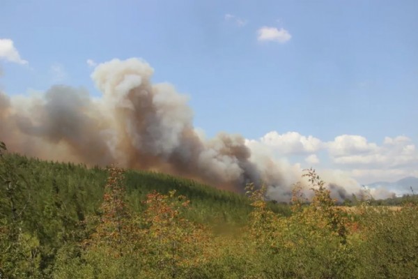Çanakkale felaketi yaşıyor! Yüzlerce kişi tahliye edildi