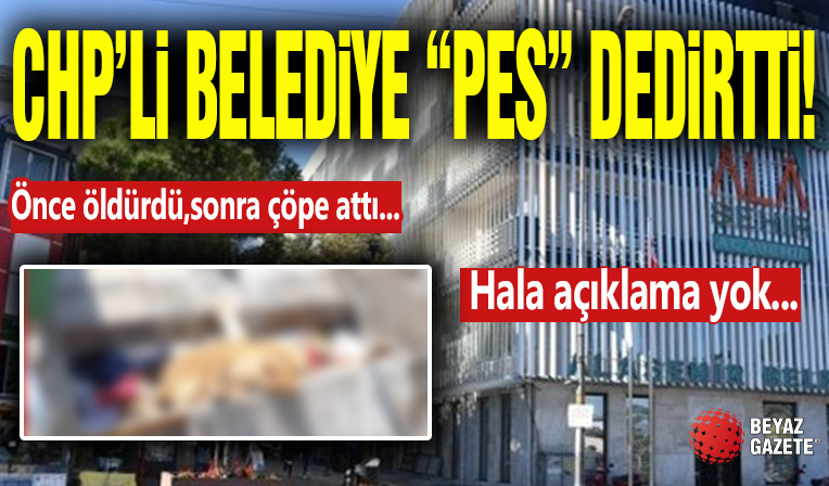 CHP'li Belediye Çöpe Attı! Görüntüler 'Pes Dedirtti'
