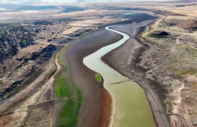 Konya Ovasında Büyük Tehlike! Dibi Gördü...