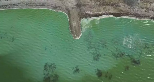 Durugöl Tedirgin Ediyor! Yeşile Boyandı...