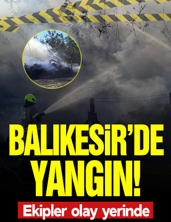 Balıkesir'de korkutan yangın! Ekipler olay yerinde