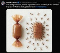 NEVZAT TARHAN - Profesörün Açıklamaları Gündeme Oturdu!