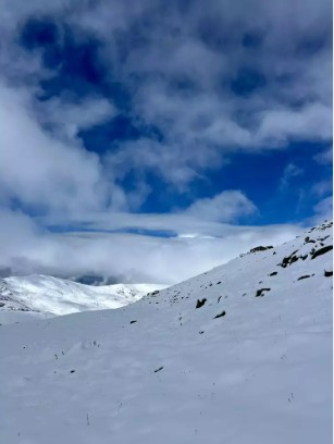 Doğu Karadeniz Beyaza Büründü! Çobanlar Yayladan İndi...