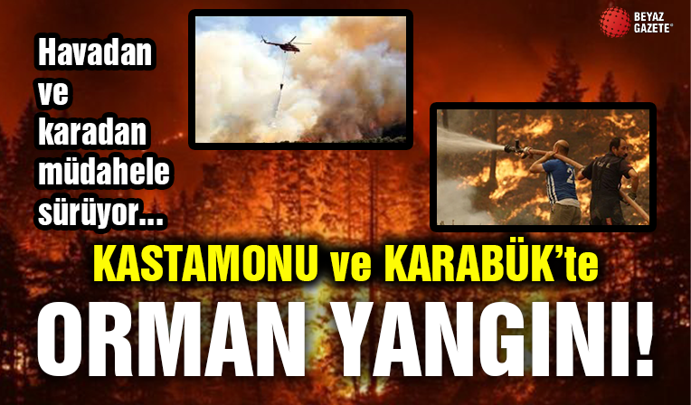 Kastamonu'da Orman Yangını!