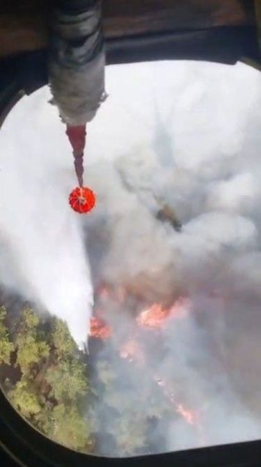 Kastamonu'da Orman Yangını!