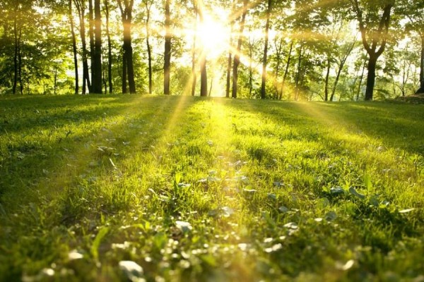 Meteoroloji Duyurdu! Sıcaklar Geri Mi Dönüyor?