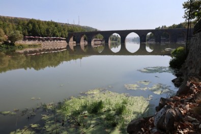 Yürekleri burkan olay! O nehirde balık ölümleri gerçekleşiyor