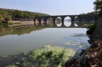 ATİLLA ÖZBİR - Yürekleri burkan olay! O nehirde balık ölümleri gerçekleşiyor